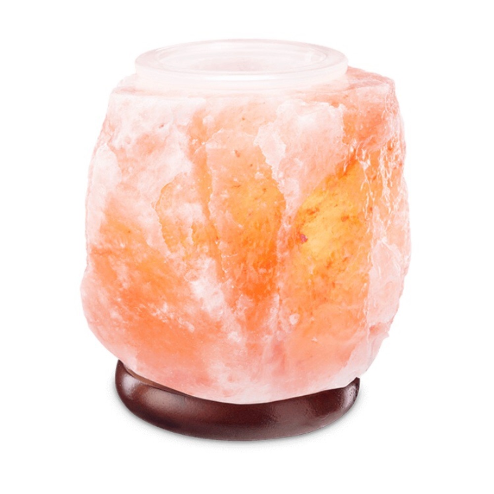 Scentsy Warmer